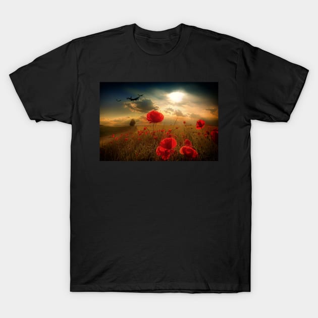 Royal Air Force Tribute T-Shirt by aviationart